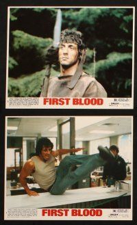 7h094 FIRST BLOOD 8 8x10 mini LCs '82 Sylvester Stallone as John Rambo, Crenna, Brian Dennehy!