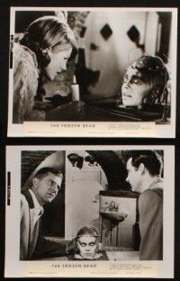 7h399 FROZEN DEAD 14 8x10 stills '66 Dana Andrews, includes cool image of severed head on table!