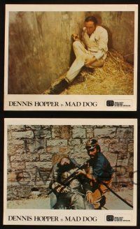7h081 MAD DOG 9 color South American 8x10 stills '76 directed by Philippe Mora, Dennis Hopper!