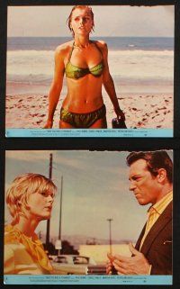 7h234 ONCE YOU KISS A STRANGER 7 8x10 mini LCs '70 many images of super sexy Carol Lynley!