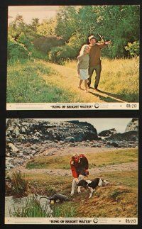 7h127 RING OF BRIGHT WATER 8 8x10 mini LCs '69 romantic Bill Travers & Virginia McKenna!