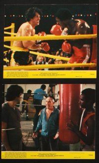 7h137 ROCKY II 8 8x10 mini LCs '79 Sylvester Stallone, Talia Shire, Burgess Meredith, boxing!