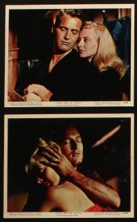 7h038 SWEET BIRD OF YOUTH 11 color 8x10 stills '62 Paul Newman, Geraldine Page, Shirley Knight!