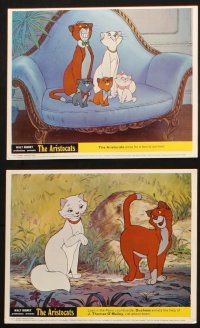 7h006 ARISTOCATS 12 color English FOH LCs '70 Walt Disney jazz musical cartoon, colorful images!