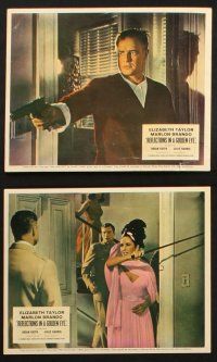 7h112 REFLECTIONS IN A GOLDEN EYE 8 color English FOH LCs '68 Huston, Elizabeth Taylor & Brando!