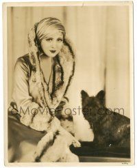 7s089 BILLIE DOVE 8x10.25 still '20s great portrait in fur with cute dog by Harold Dean Carsey!
