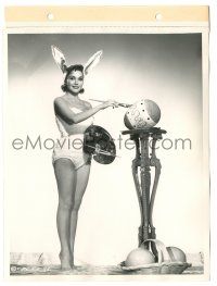 7s254 FELICIA FARR 8x11 key book still '57 as Easter Bunny painting giant eggs by Cronenweth!