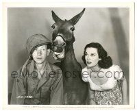 7s275 FRANCIS THE TALKING MULE 8.25x10 still '49 Patricia Medina stares at Donald O'Connor & mule!