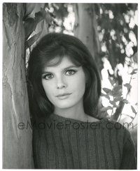 7s462 KATHARINE ROSS 8x10 still '68 beautiful c/u posed portrait by tree from Hellfighters!