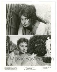 7s540 MADAME SANS GENE 8x10.25 still R63 split image of sexy Sophia Loren in different costumes!