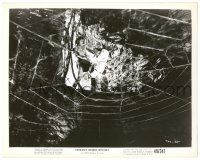 7s856 TARZAN'S DESERT MYSTERY 8.25x10 still '43 Johnny Weissmuller in death struggle by spider web