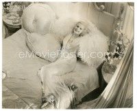 7s435 JEAN HARLOW 7x8.5 still '34 on a bed with a heart-shaped pillow from Dinner at Eight!
