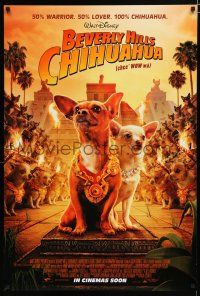 7w073 BEVERLY HILLS CHIHUAHUA advance DS 1sh '08 Piper Perabo, Jamie Lee Curtis, cute image of dogs