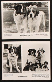 7x245 BEETHOVEN'S 2ND presskit w/ 9 stills '93 Charles Grodin, Newton family is going to the dogs!