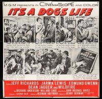 7y068 IT'S A DOG'S LIFE 6sh '55 Wildfire the wonder dog, great art of the Bull Terrier!