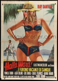 7y650 HELLO GLEN WARD HOUSE DICK Italian 1p '68 Casaro art of Ray Danton w/gun & sexy bikini babe!