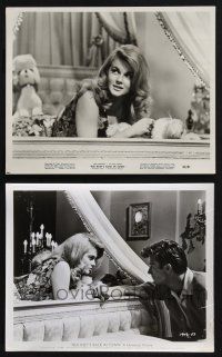 8a877 BUS RILEY'S BACK IN TOWN 2 8x10 stills '65 incredibly sexy Ann-Margret, Michael Parks!