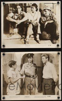 8a707 FAITHFUL CITY 4 8x10 stills '52 cool images from the first great Israeli production!
