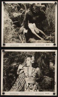 8a599 FORBIDDEN JUNGLE 6 8x10 stills '50 awesome tiger, chimp, lion images and wackiest creature!
