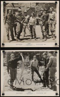 8a713 FRECKLES 4 8x10 stills '60 from Gene Stratton-Porter's thrilling story on the limberlost!