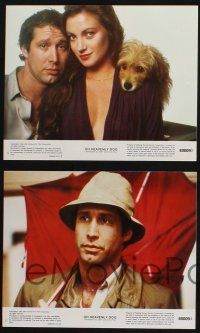 8a150 OH HEAVENLY DOG 6 8x10 mini LCs '80 Chevy Chase, Benji, Jane Seymour, great canine images!