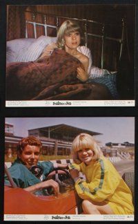 8a070 PRUDENCE & THE PILL 8 color 8x10 stills '68 Deborah Kerr, David Niven, Judy Geeson!