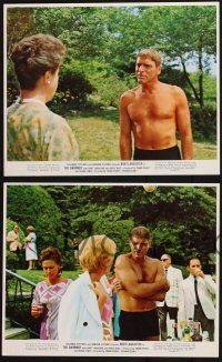 8a207 SWIMMER 4 color 8x10 stills '68 Burt Lancaster, directed by Frank Perry, existential!