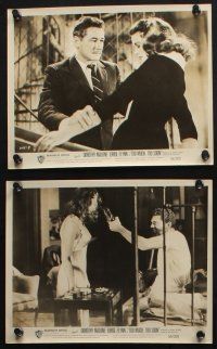 8a460 TOO MUCH, TOO SOON 9 8x10 stills '58 Errol Flynn, sexy Dorothy Malone as Diana Barrymore!