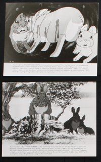 8a307 WATERSHIP DOWN 18 8x10 stills '78 based on Richard Adams' best seller, cartoon rabbits!