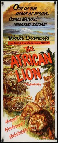 8b425 AFRICAN LION insert '55 Walt Disney jungle safari documentary, cool animal artwork!