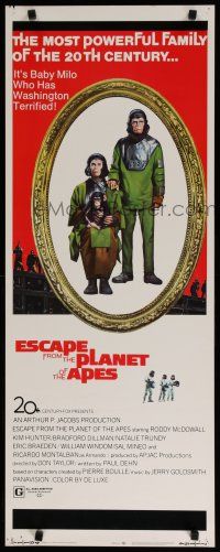 8b521 ESCAPE FROM THE PLANET OF THE APES insert '71 meet Baby Milo who has Washington terrified!