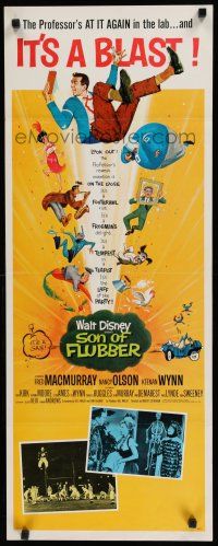 8b777 SON OF FLUBBER insert '63 Walt Disney, art of absent-minded professor Fred MacMurray!