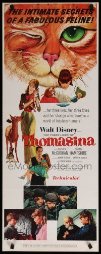 8b802 THREE LIVES OF THOMASINA insert '64 Walt Disney, great art of winking & smiling cat!