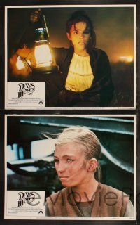 8f129 DAYS OF HEAVEN 8 LCs '78 Richard Gere, Brooke Adams, Sam Shepard, directed by Terence Malik!