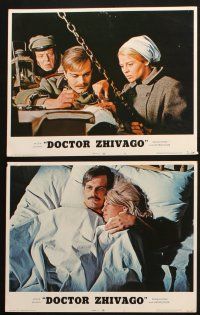 8f564 DOCTOR ZHIVAGO 6 LCs R72 Omar Sharif, Julie Christie, David Lean classic English epic!