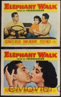 8f157 ELEPHANT WALK 8 LCs '54 sexy Elizabeth Taylor, Dana Andrews & Peter Finch in India!