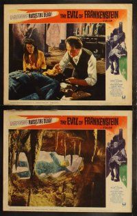 8f521 EVIL OF FRANKENSTEIN 7 LCs '64 Peter Cushing, Hammer, wonderful monster images!