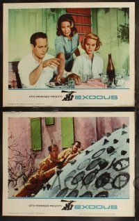 8f163 EXODUS 8 LCs '61 Otto Preminger, Paul Newman, Eva Marie Saint, Sal Mineo, Jill Haworth!
