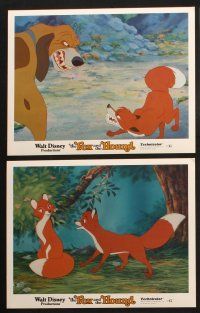 8f571 FOX & THE HOUND 6 LCs '81 two friends who didn't know they were supposed to be enemies!