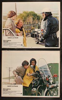 8f201 HAROLD & MAUDE 8 LCs '71 wonderful images of Ruth Gordon & Bud Cort, Ashby classic!