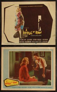 8f202 HATFUL OF RAIN 8 LCs '57 Fred Zinnemann early drug classic, Eva Marie Saint & Don Murray!