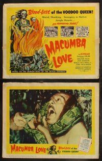 8f273 MACUMBA LOVE 8 LCs '60 weird, shocking savagery in native jungle, cool art of voodoo queen!
