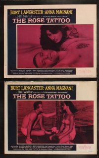 8f371 ROSE TATTOO 8 LCs '55 Burt Lancaster, Anna Magnani, written by Tennessee Williams!