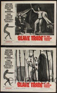 8f407 SLAVE TRADE IN THE WORLD TODAY 8 LCs '65 the smuggled motion pictures of a sheik's harem!