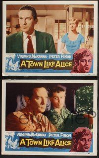 8f465 TOWN LIKE ALICE 8 LCs '57 Virginia McKenna, Peter Finch, from Nevil Shute book!