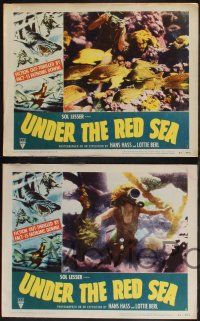 8f483 UNDER THE RED SEA 8 LCs '52 cool border art of scuba divers & sexy swimmer fighting shark!