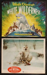 8f496 WHITE WILDERNESS 8 LCs '58 Walt Disney, polar bear & arctic animals on top of world!