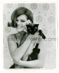 8h212 CLAUDIA CARDINALE 8x10.25 still '65 sexy smiling c/u with Siamese cat from Blindfold!