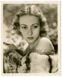 8h516 KAREN MORLEY deluxe 8x10 still '30s wonderful portrait of the pretty star wearing fur!