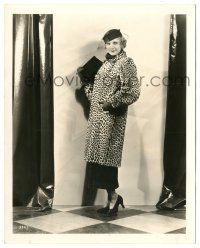 8h925 UNA MERKEL deluxe 8x10 still '30s modeling leopardskin coat with straw hat & nose veil!